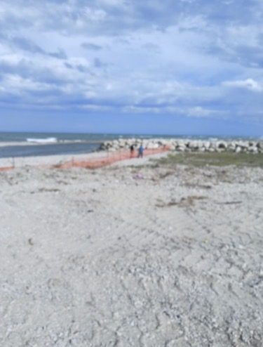 Parco Annunziata — Giulianova — foto 15