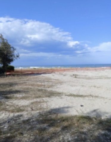Parco Annunziata — Giulianova — foto 17